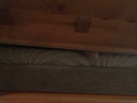 Snapshot of Dicksexhandjob chatting on 02-21-25, 01:33 Dicksexhandjob online show from 02-21-25, 01:33