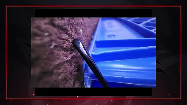 Snapshot of AriellaTaylor chatting on 12-11-24, 04:42 AriellaTaylor online show from 12-11-24, 04:42