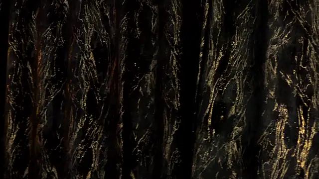 MiaCharm online show from 02-24-26, 11:47