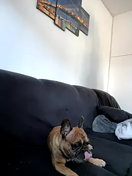 Snapshot of Bastilein1985 chatting on 10-30-25, 09:11 Bastilein1985 online show from 10-30-25, 09:11