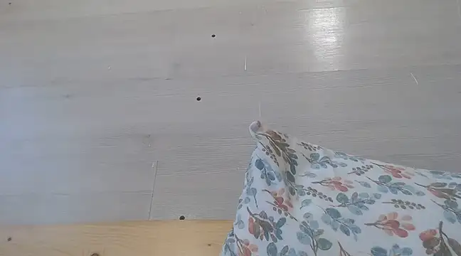 CRISTIINA37 online show from 03-19-25, 12:34