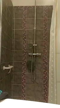 pachapeter online show from 01-29-25, 05:24