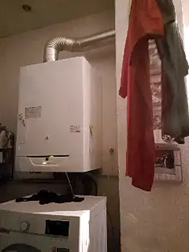 pachapeter online show from 02-10-25, 09:47