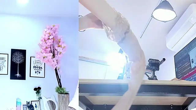 Siouxsie cenobite online show from 10-28-25, 11:47