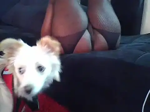 Snapshot of KikiLovesD chatting on 12-23-24, 02:07 KikiLovesD online show from 12-23-24, 02:07