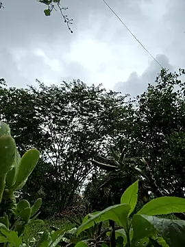 ViolettaSummer online show from 01-12-26, 01:05