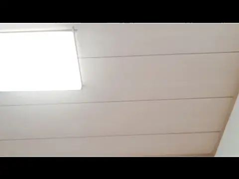 xxArisaxx online show from 11-29-25, 06:05