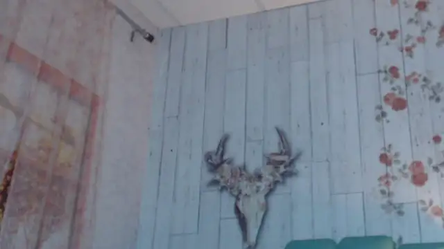 Alison Simmons online show from 02-05-25, 11:44