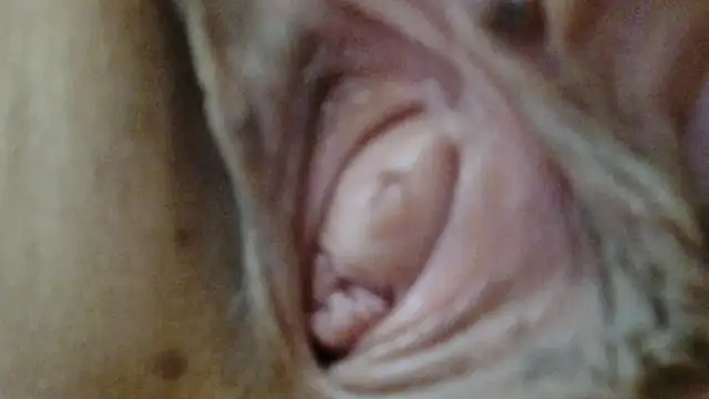 Snapshot of sonyx chatting on 03-01-26, 12:18 sonyx online show from 03-01-26, 12:18