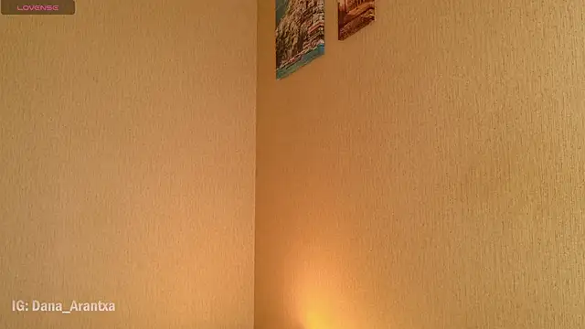 DanArant online show from 10-11-25, 08:51