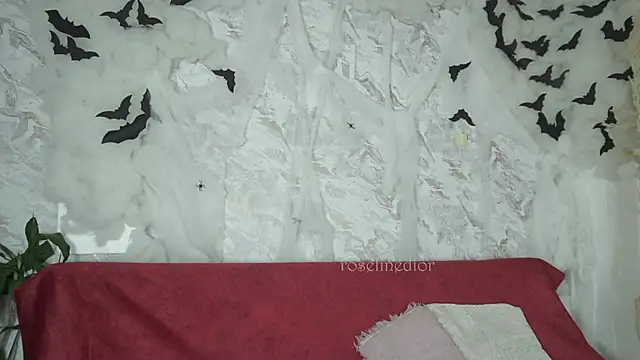 Snapshot of roselinedior chatting on 10-28-25, 01:14 roselinedior online show from 10-28-25, 01:14