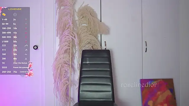 Snapshot of roselinedior chatting on 11-12-25, 11:47 roselinedior online show from 11-12-25, 11:47