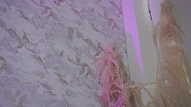 Snapshot of roselinedior chatting on 12-02-25, 01:17 roselinedior online show from 12-02-25, 01:17