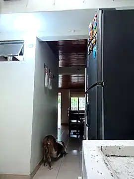 Snapshot of sebasxx97 chatting on 02-11-26, 11:59 sebasxx97 online show from 02-11-26, 11:59