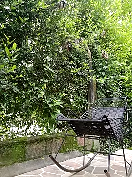 Snapshot of sebasxx97 chatting on 02-17-26, 03:19 sebasxx97 online show from 02-17-26, 03:19