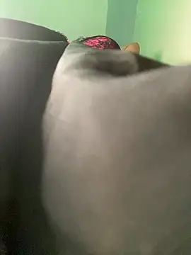 Snapshot of Cherrytowild chatting on 02-17-25, 08:47 Cherrytowild online show from 02-17-25, 08:47