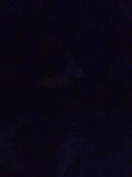 Snapshot of MrDickUdown24_7 chatting on 02-23-25, 06:39 MrDickUdown24 7 online show from 02-23-25, 06:39