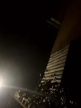 jent59 online show from 01-17-26, 02:16