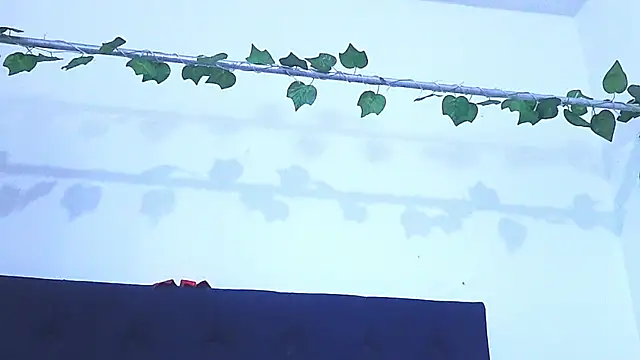 AliciaBasch online show from 01-09-25, 02:01