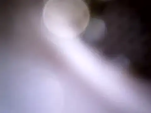 Snapshot of Beijing2000 chatting on 01-14-25, 04:04 Beijing2000 online show from 01-14-25, 04:04