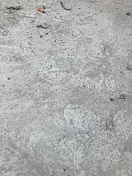 Snapshot of Beijing2000 chatting on 10-11-25, 02:33 Beijing2000 online show from 10-11-25, 02:33