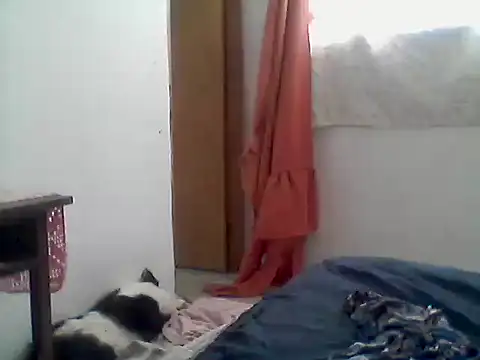 mariy  online show from 12-01-25, 03:50