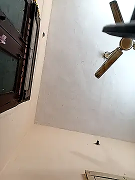 reemacouple007 online show from 10-14-25, 05:52