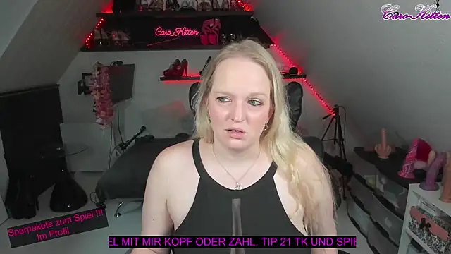 caro kitten online show from 01-25-25, 11:13