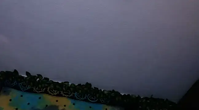 chanel 1041 online show from 12-26-24, 08:00