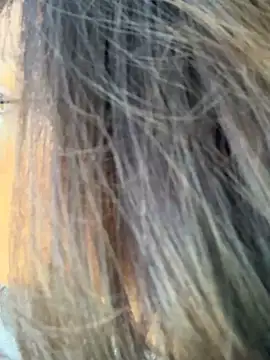 Snapshot of miacanela_xo chatting on 10-11-25, 10:08 miacanela xo online show from 10-11-25, 10:08