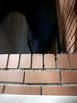 Snapshot of Petrossa chatting on 11-24-25, 12:21 Petrossa online show from 11-24-25, 12:21