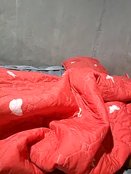 Snapshot of Petrossa chatting on 12-04-25, 03:27 Petrossa online show from 12-04-25, 03:27