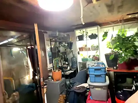 trash4cash online show from 01-13-26, 10:04