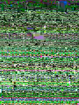 Snapshot of Snehameoww@xh chatting on 11-21-25, 04:16 Snehameowwxh online show from 11-21-25, 04:16