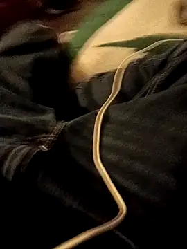 ySqmbVanbe online show from 01-07-26, 02:14