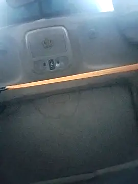 FloppyPickle4u online show from 11-05-25, 03:56