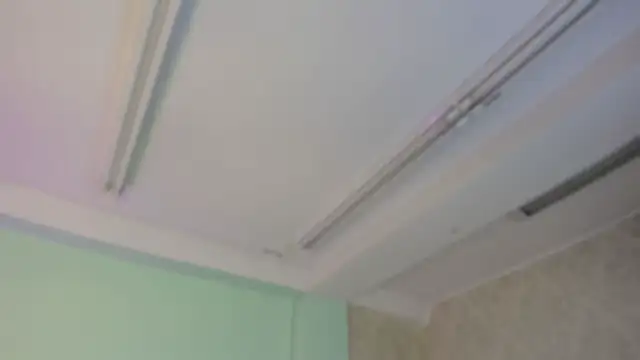 EvaaStevens online show from 11-05-25, 12:16