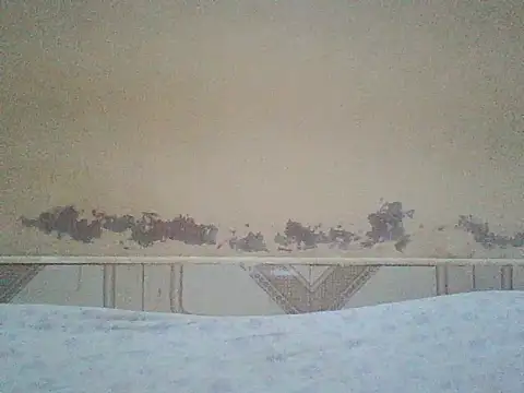 Snapshot of Naivegirrl chatting on 06-25-26, 06:51 Naivegirrl online show from 06-25-26, 06:51