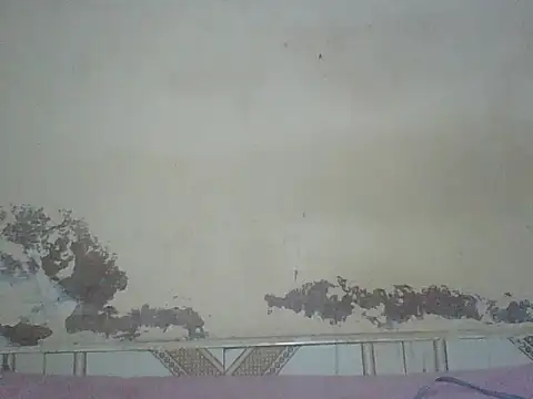 Snapshot of Naivegirrl chatting on 08-01-26, 04:17 Naivegirrl online show from 08-01-26, 04:17