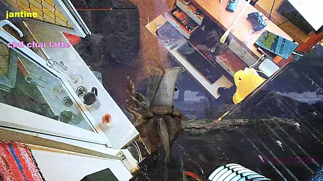 Snapshot of BongChannel chatting on 03-09-25, 03:54 BongChannel online show from 03-09-25, 03:54