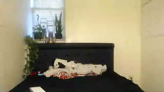 Snapshot of vixenpaisley2 chatting on 12-07-24, 03:04 vixenpaisley2 online show from 12-07-24, 03:04