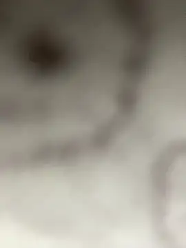 Leyna liu online show from 01-11-25, 03:13