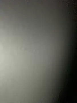 Leyna liu online show from 02-04-25, 08:46