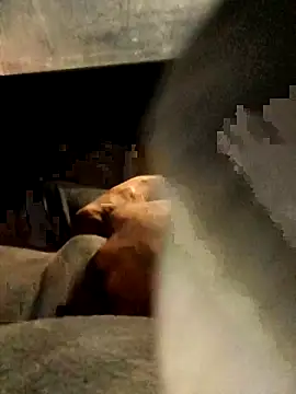 Snapshot of xWhoreAbleX_Pika chatting on 03-06-25, 12:43 xWhoreAbleX Pika online show from 03-06-25, 12:43