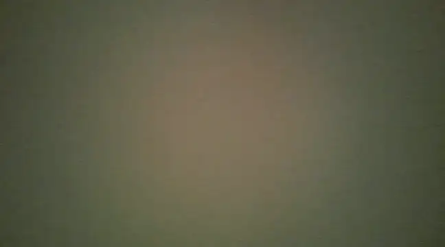 lovense test04 online show from 03-13-25, 08:37