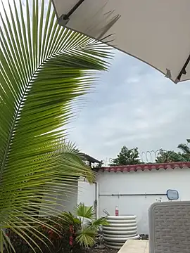 Ema azel online show from 02-16-25, 02:00