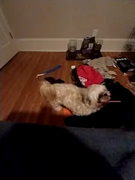 420getsmehorny online show from 12-16-24, 02:04