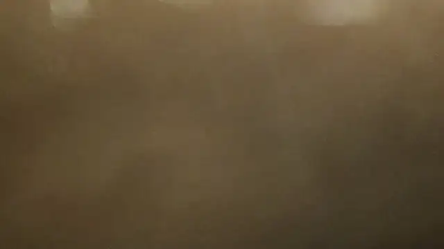 Alphapimmelchen online show from 02-21-25, 03:54