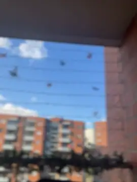 ValerieHilton online show from 01-18-25, 09:45