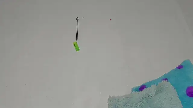 sebas rose online show from 12-11-24, 12:44